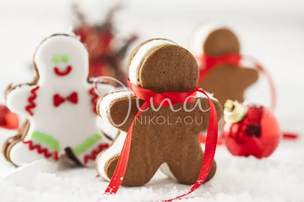 Cookies gingerbread