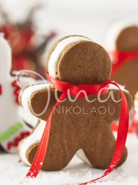 Cookies gingerbread