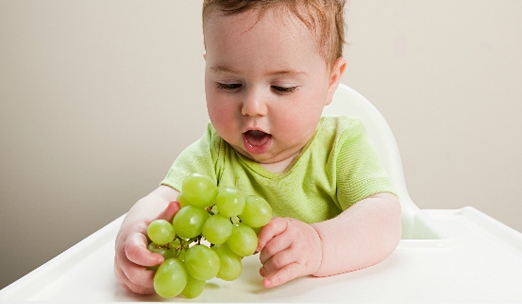 Детское питание и введение прикорма
