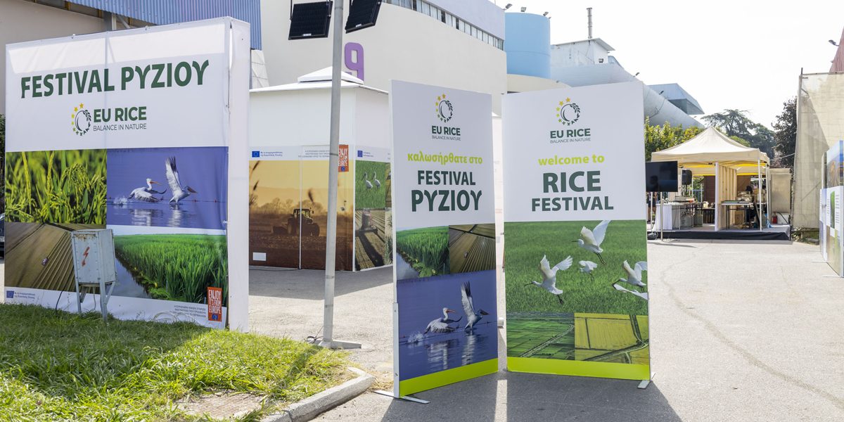 EU RICE FESTIVAL ΔΕΘ 2022 - Επιλέγουμε Ευρωπαϊκό ρύζι για βιώσιμο περιβάλλον￼