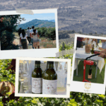 ΚΑΛΕΣΜΑ ΝΕΩΝ ΚΑΛΛΙΤΕΧΝΩΝΑΠΟ ΤΙΣ ΜΟΡΦΕΣ ΕΚΦΡΑΣΗΣΤΟΥ ΘΩΜΑ ΚΙΝΔΥΝΗ
