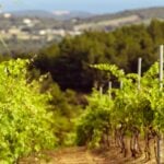 ΣΕΜΙΝΑΡΙΟ ΒΛΑΚΕΙΑΣ του Σάκη Σερέφα Με τον Κωνσταντίνο Μπάζα2ος χρόνος Από Οκτώβριο στο θέατρο ΑΛΚΜΗΝΗ