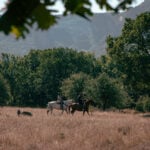 Σάμος: Ο Ιούλιος της Πυθαγόρειας διατροφής