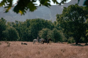 Στα Μετέωρα, με τα άλογα, ψάχνοντας… τρούφα!