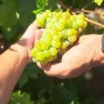 Το Μέγαρο στη Βόρεια Εύβοια Ελεωνόρα Ζουγανέλη